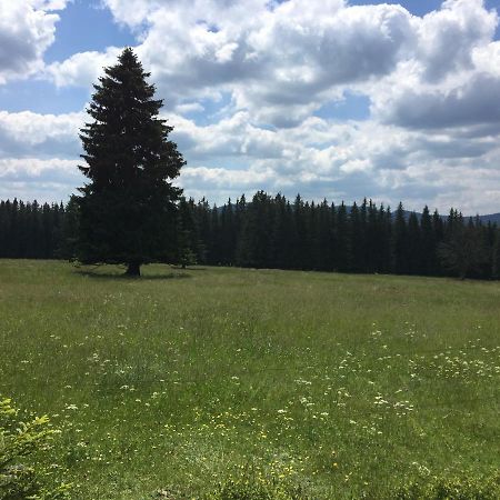 Apartman Kvilda 126 Екстер'єр фото