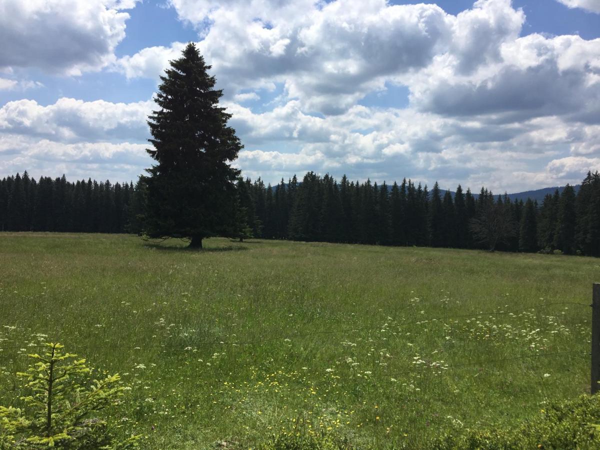 Apartman Kvilda 126 Екстер'єр фото